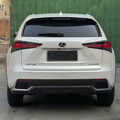 Lexus NX 2021 - фото 6 Lexus NX 2021